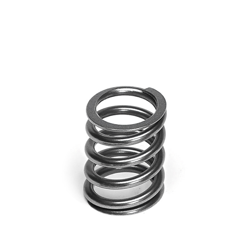 Single Valve Springs