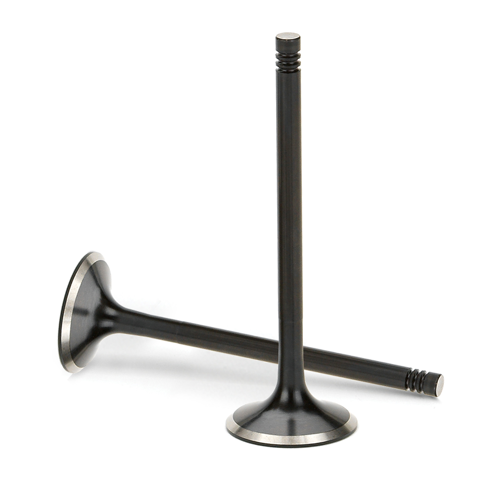 Stainless Steel Black Nitride Intake Valves