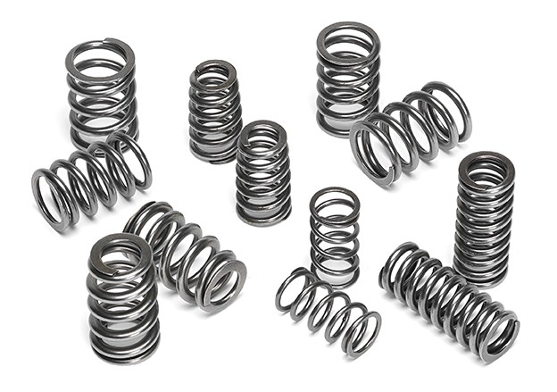 Valve Spring